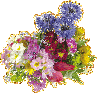 Поздравляем с Днем Рождения Елену (Белка7) Mnogo-cvetov