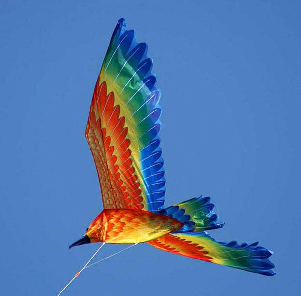 разноцветная птица
