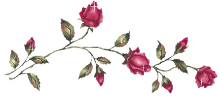 Кустовая ветвь роз