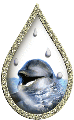 анимационная картинка дельфин в воде