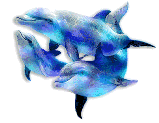 анимационная картинка дельфины