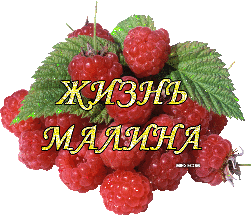 http://mirgif.com/nadpisi/zhizn_malina.gif