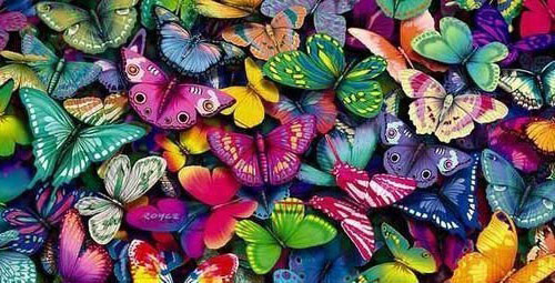 бабочки всех цветов