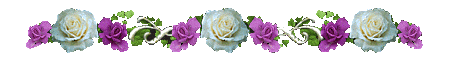 Линеечка из белых роз